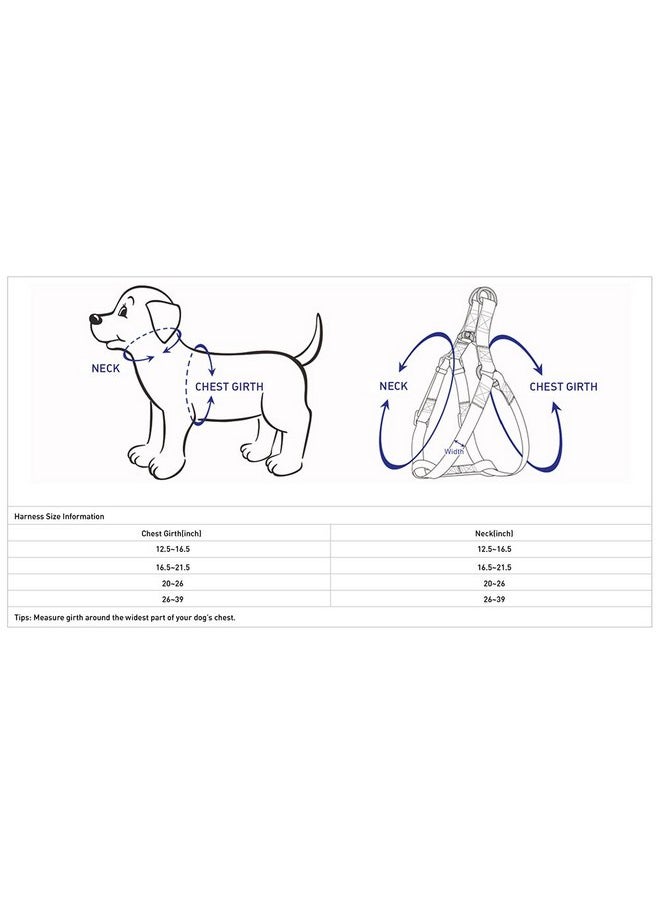 Blueberry Pet Blueberry Pet Essentials 2 Patterns Step-in Ladybug Designer Dog Harness, Chest Girth 20" - 26", Medium, Adjustable Harnesses for Dogs  - Image 5