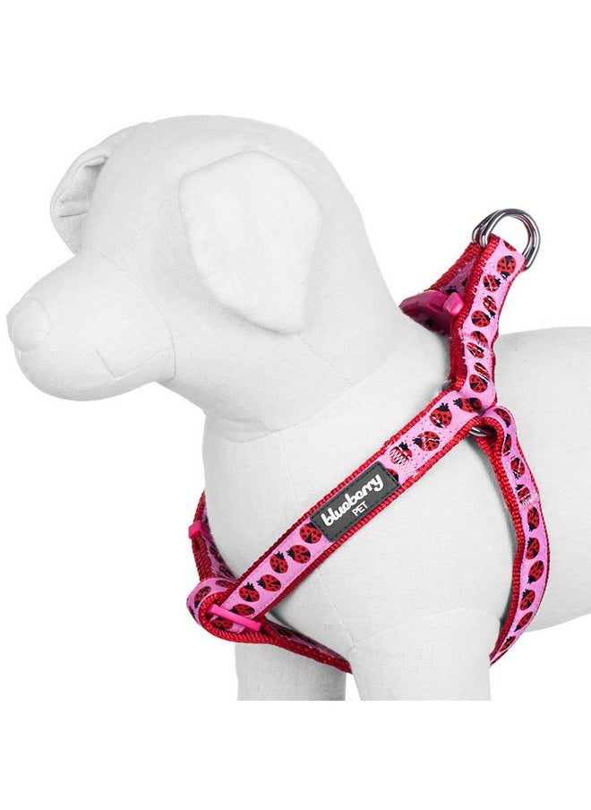 Blueberry Pet Essentials 2 Patterns Step-in Ladybug Designer Dog Harness, Chest Girth 20" - 26", Medium, Adjustable Harnesses for Dogs - pzsku/ZD6AC9E7F748C99D0481AZ/45/_/1737031771/70f3a4f5-d6c7-45d5-92a6-444610be4928