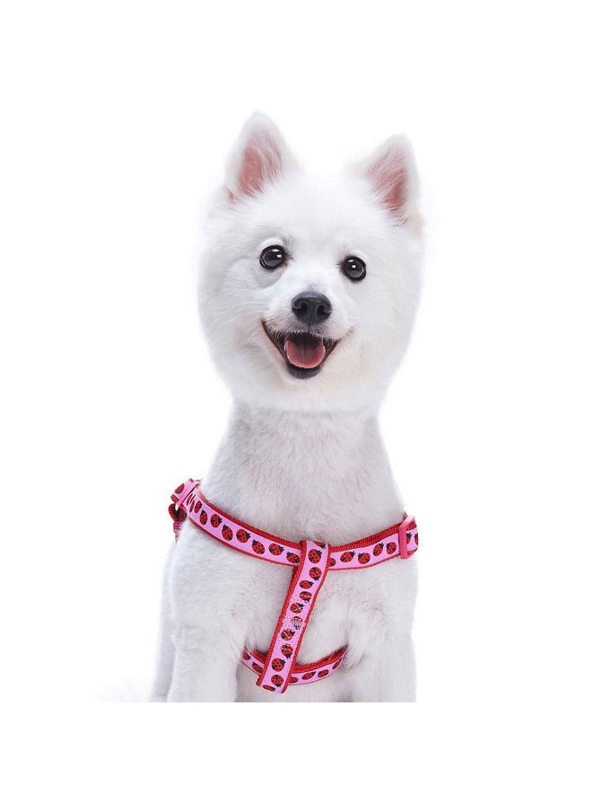 Blueberry Pet Blueberry Pet Essentials 2 Patterns Step-in Ladybug Designer Dog Harness, Chest Girth 20" - 26", Medium, Adjustable Harnesses for Dogs  - Image 1