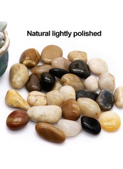 Generic Polished River Stones Natural Decorative River Pebbles Rocks Mixed Colour Gravel River Rock for Outdoor or Indoor Décor Vase Fillers Landscaping 2.2 LBS (1 Kg) 1 to 1.5 Inch Size  - Image 3