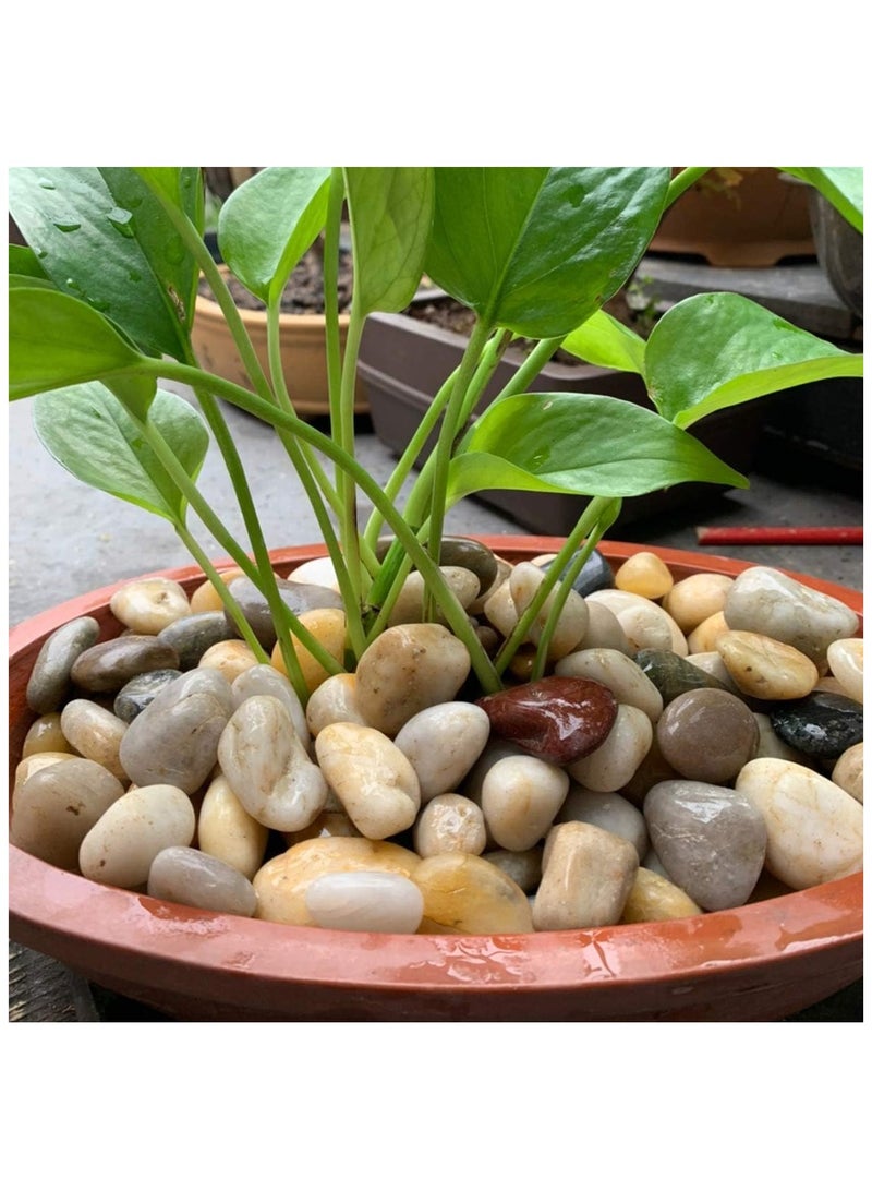 Home zone Polished River Stones Natural Decorative River Pebbles Rocks Mixed Colour Gravel River Rock for Outdoor or Indoor Décor Vase Fillers Landscaping 2.2 LBS (1 Kg) 1 to 1.5 Inch Size  - Image 5
