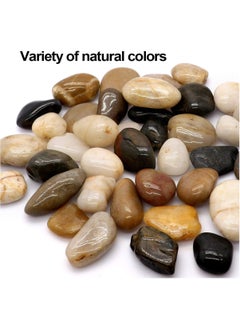 Generic Polished River Stones Natural Decorative River Pebbles Rocks Mixed Colour Gravel River Rock for Outdoor or Indoor Décor Vase Fillers Landscaping 2.2 LBS (1 Kg) 1 to 1.5 Inch Size  - Image 4