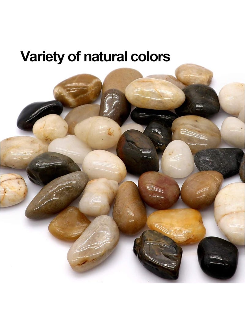 Home zone Polished River Stones Natural Decorative River Pebbles Rocks Mixed Colour Gravel River Rock for Outdoor or Indoor Décor Vase Fillers Landscaping 2.2 LBS (1 Kg) 1 to 1.5 Inch Size  - Image 4