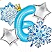 Florisland Frozen 6th Birthday Party Decorations Balloon 40 Elsa 6 Balloon with Crown SnowFlake Foil Mylar Balloons for Princess Anna Elsa Frozen Theme Birthday Supplies Birthday Decorations Party Favors - Image 2