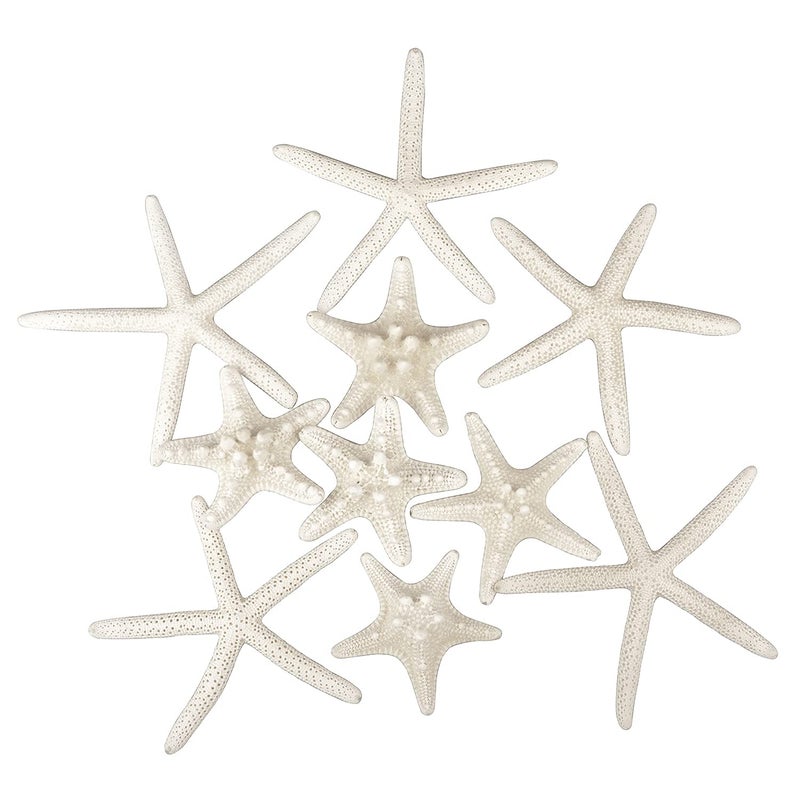Jangostor 12 PCS Starfish 2-6 Inch Mixed Starfish Natural Seashells Starfish Star Fish Shells Decorations Perfect for Wedding Decor Beach Theme Party, Home Decorations, DIY Crafts, Fish Tank - Image 1
