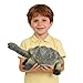 SmilerSmile Simulated Ocean Big Animal One pc 15 Inch Soft Filled Rubber Sea Educational Toys Tortoise - Image 3