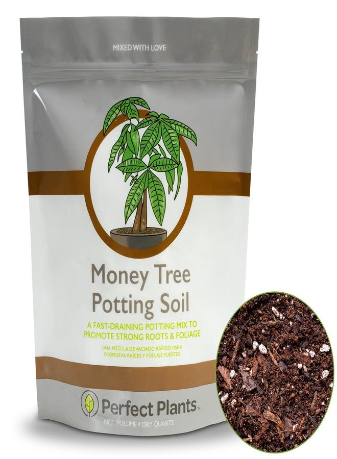PERFECT PLANTS تربة بيرفكت بلانتس لزراعة شجرة المال 4 كوارت | مزيج نباتي عضوي مصنوع من ألياف جوز الهند للأشجار الداخلية | أنشئ غابتك الداخلية بسرعة - Image 1