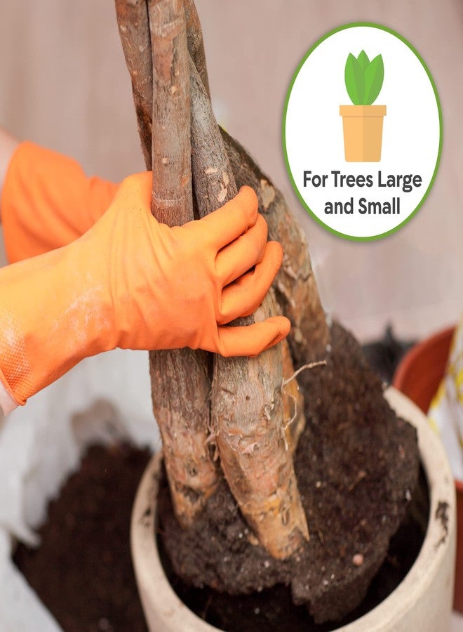PERFECT PLANTS تربة بيرفكت بلانتس لزراعة شجرة المال 4 كوارت | مزيج نباتي عضوي مصنوع من ألياف جوز الهند للأشجار الداخلية | أنشئ غابتك الداخلية بسرعة - Image 4