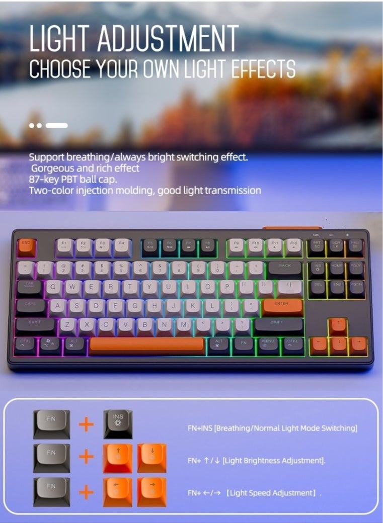 M87 Bluetooth Gaming Keyboard, 2.4G Dual Mode Connection, PBT Ball Cap, Rainbow Light, Suitable for Computers, Laptops, and Mac - pzsku/ZD6B262699EE33ACB86D9Z/45/_/1716888174/e7254efb-65b7-4067-a60c-5fe8257e8c4f