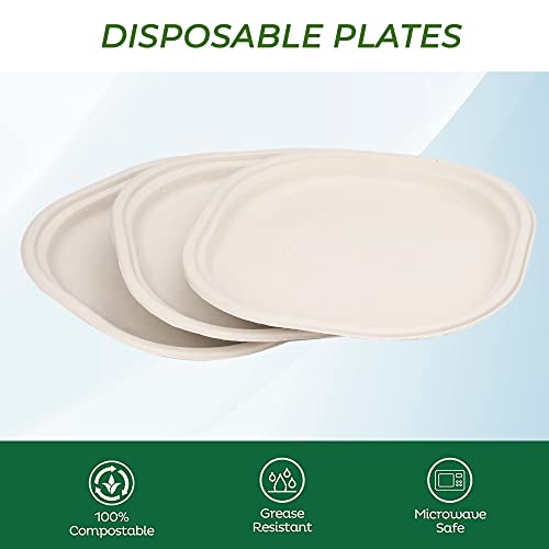 e kysa basics Disposable Square Bagasse Plates, 9 inches, Set of 20 pcs - Beige - Image 5