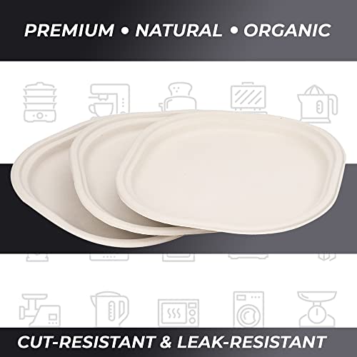 e kysa basics Disposable Square Bagasse Plates, 9 inches, Set of 20 pcs - Beige - Image 4
