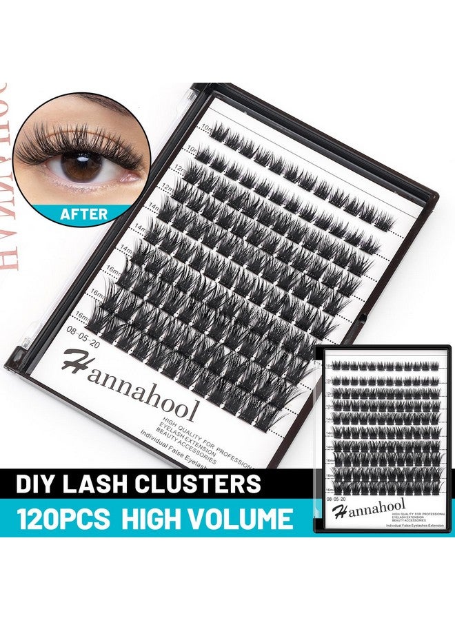 Hannahool 10Rows Mixed 10-12-14-16Mm/8-10-12-14Mm Individual False Eyelashes D Curl Wide Stem Dramatic Black Makeup Cluster Eyelashes Natural Volume Eye Lashes Extensions (10-12-14-16Mm Mixed) - Image 1