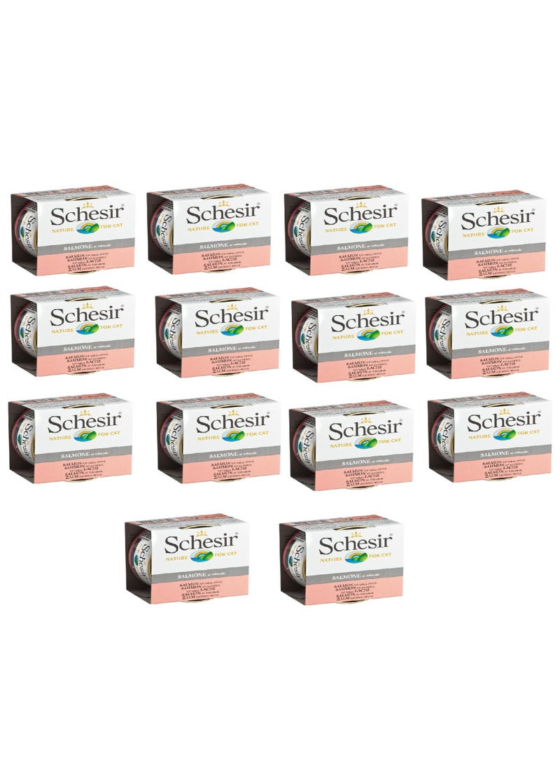 Schesir 14PC Cat Wet Food-Salmon Natural Style 85g - Image 1