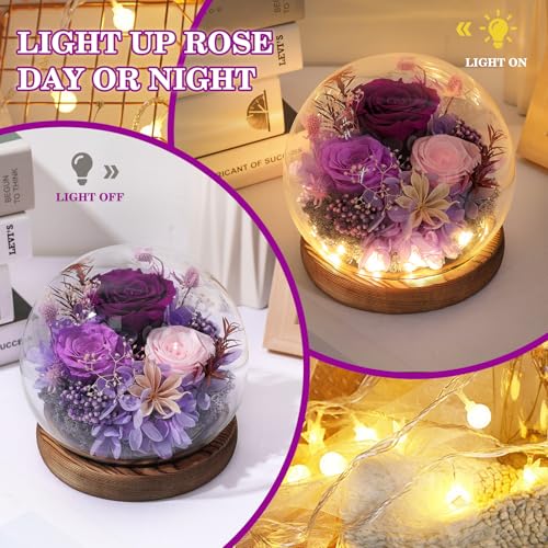 FIACO هدايا FIACO للأم النساء عيد الميلاد زهور محفوظة في قبة زجاجية زهور طازجة للأبد للتوصيل رئيسي ورود دائمة طويلة الأمد هدايا للجدة الأخت الابنة الزوجة لها صديقة بنفسجي - Image 2