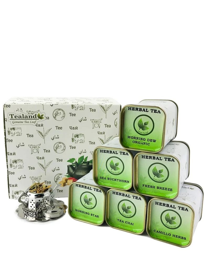 Tealand Sampler Kit – Selected Herbals Includes Tea Chai (10g) Morning Star (10g) Camillo Herbs (10g) Fresh Breeze (10g) Morning Dew Herbs (10g) Juicy Sea Buckthorn (10g) Tea Pot Infuser with Tray & Tins - Image 2