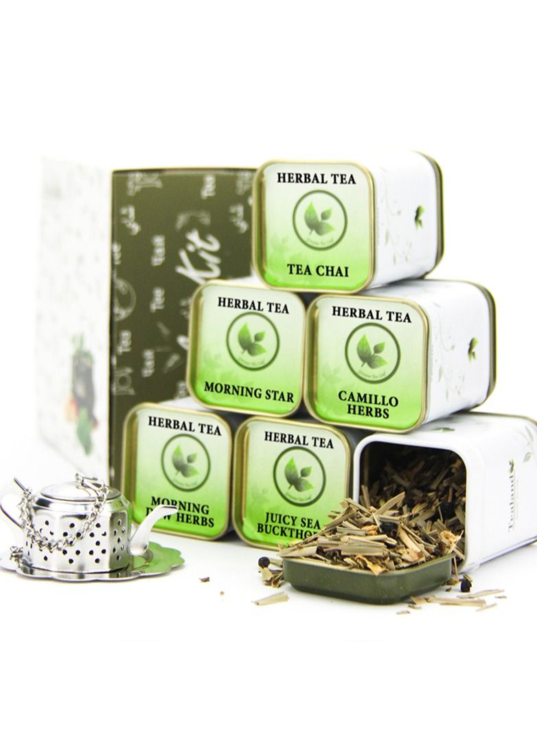 Tealand Sampler Kit – Selected Herbals Includes Tea Chai (10g) Morning Star (10g) Camillo Herbs (10g) Fresh Breeze (10g) Morning Dew Herbs (10g) Juicy Sea Buckthorn (10g) Tea Pot Infuser with Tray & Tins - Image 1