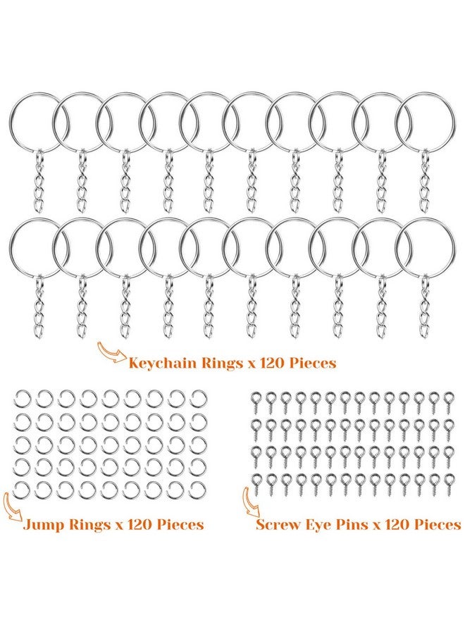 Audab أوداب 360 قطعة سلسلة مفاتيح بالجملة، 120 قطعة حلقات سلسلة مع سلسلة و120 قطعة حلقة قفز مفتوحة مع 120 قطعة دبابيس عين برغي للحرف وصنع المجوهرات - Image 2