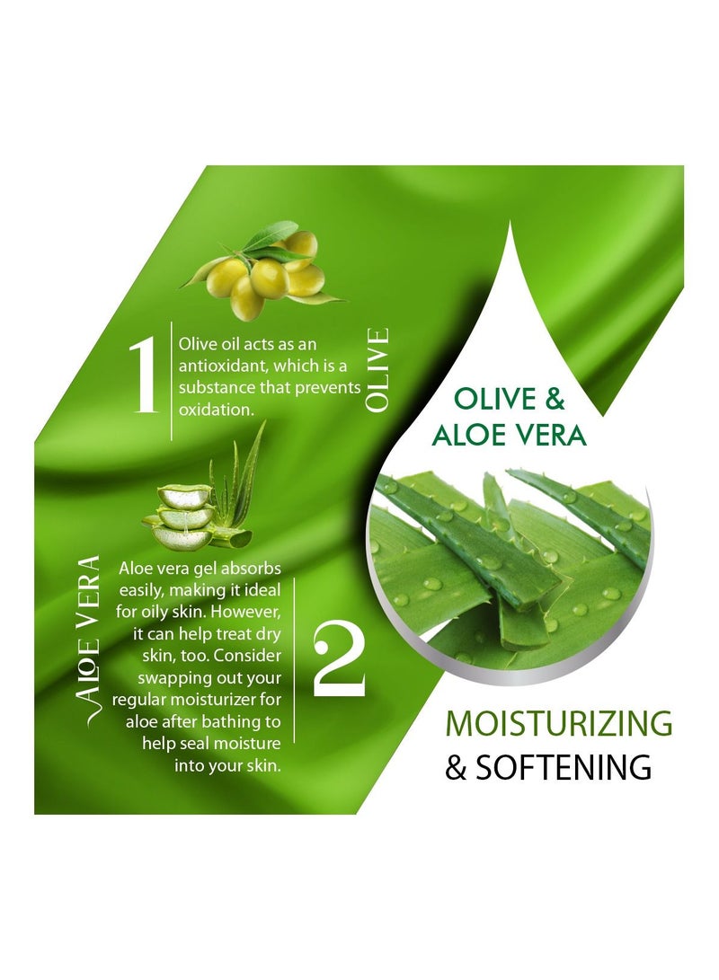 VCare Vcare Silky Senses Body Lotion 500ml Olive and Aloe Vera Extracts Moisturizing Body lotion for Dry and Rough Skin  - Image 4