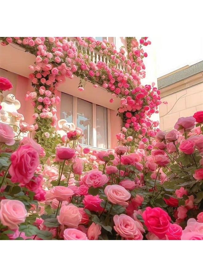 43℃ 500Pcs Climbing Rose Seeds Pink Color For Garden Planting - Image 1