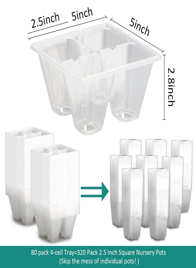 RooTrimmer 80 Pack Reusable 4-Cell Clear Seed Starter Trays - Extra Large Drainage Holes, Easy Transplant, Clear Transparent Tray for Root Observation, Seed Starting, Fits Standard 1020 Trays - Image 2