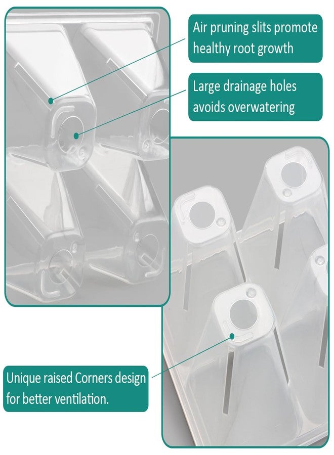 RooTrimmer 80 Pack Reusable 4-Cell Clear Seed Starter Trays - Extra Large Drainage Holes, Easy Transplant, Clear Transparent Tray for Root Observation, Seed Starting, Fits Standard 1020 Trays - Image 4