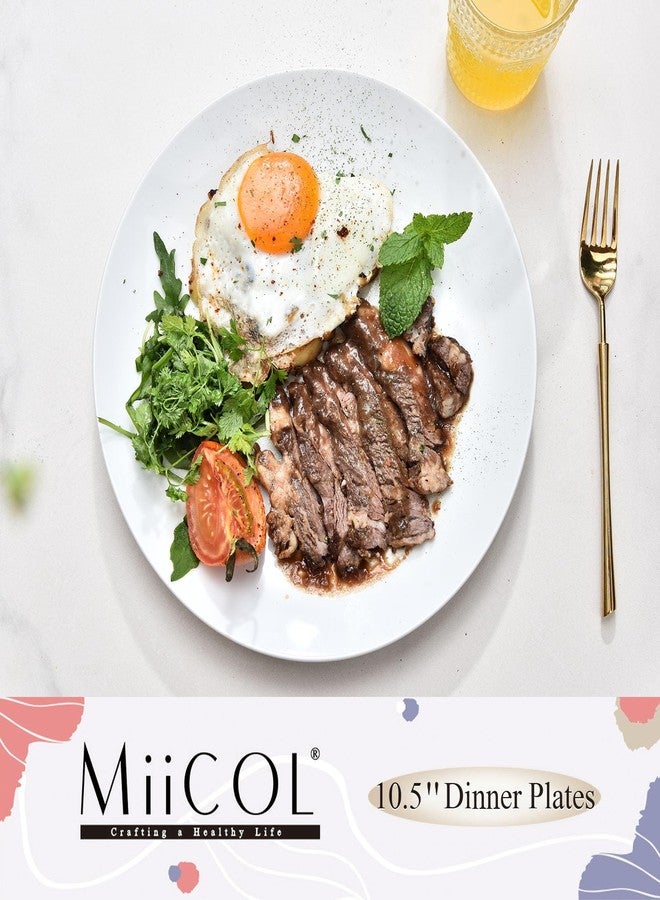 Miicol Ceramic Dinner Plates Set of 4, Large Salad Plate 10.5 inch, White Flat Dish, Porcelain Serving Dishes for Pasta, Steak, Dessert, Microwave and Dishwasher Safe, Scratch Resistant - Image 2