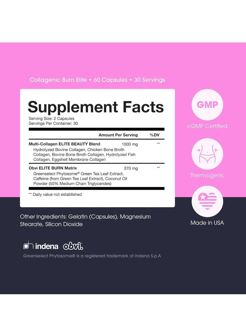 Obvi Collagenic Burn Elite 60 Capsules 30 serving - Image 2