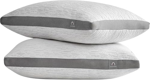 ACCURATEX Pillows Queen Size Set of 2 Rayon Derived from Bamboo Removable Cover Shredded Memory Foam Pillow with Down Alternative Fill Adjustable Supportive Pillows for Side Back Sleepers - Image 1