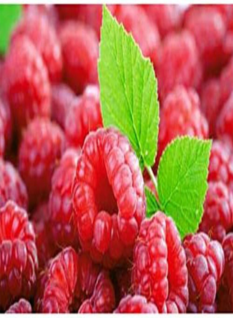 GGOOT 20pcs/pack Seed Redberry Wild Raspberry for Home&Garden Landscape Plant Seed Fruit Potted Plants Ornamental Plant - (Color: Mix)  - Image 3