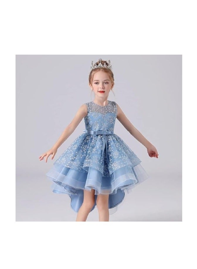 3D Embroidered Flowers Princess Lace Dress for Girls Birthday Party Prom Girl's Special Occasion Performances Host Evening Gown  - Image 3