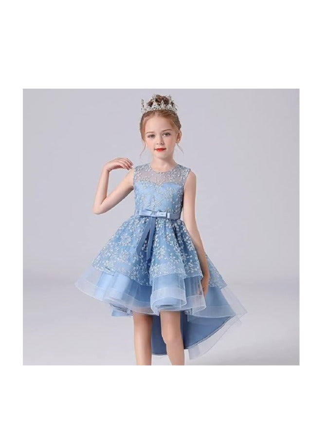 3D Embroidered Flowers Princess Lace Dress for Girls Birthday Party Prom Girl's Special Occasion Performances Host Evening Gown  - Image 2