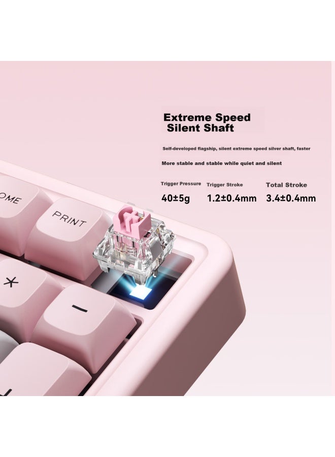 Ausdom H98 Mechanical Keyboard With Three Modes, Silent Customized Gasket Keyboard, Multi-layer Soundproofing, Hot-swappable Full Key Bluetooth Gaming Office Computer Keyboard - Sakura Language - Image 2