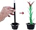 Pxiryanlow Stick to Rose Magic Tricks Magic Wand to Flower Easy Magic Tricks Funny Toys Show Performance Prop for Adults Teenagers Magician Accessories Magic Kits and Accessories - Image 5