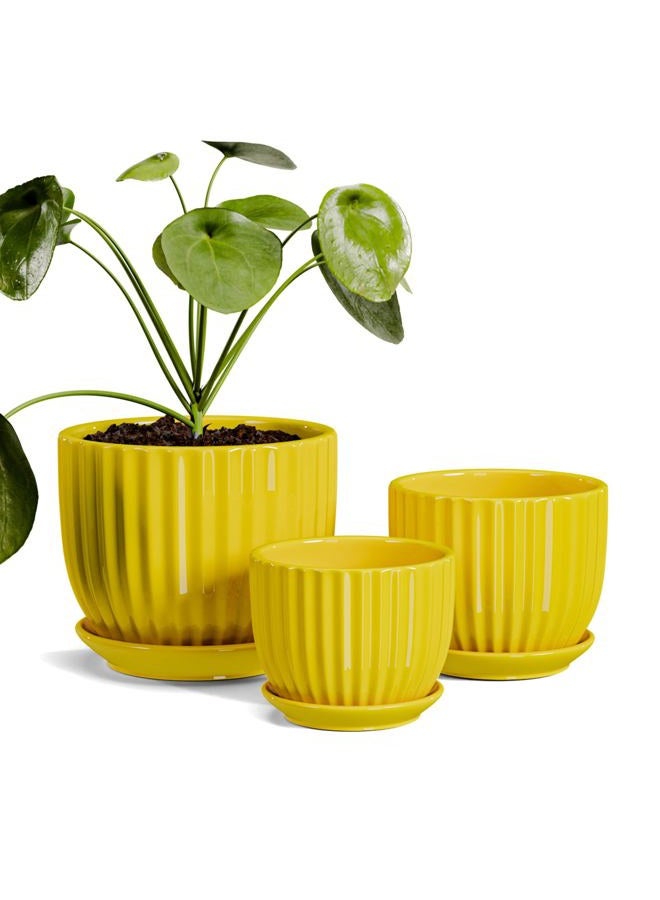 Ton Sin Ceramic Flower Pots,Yellow Plant Pots for Indoor Plants,4.1+5.1+6.5 inch Ceramic Plant Pots with Tray,Medium Indoor Planters for Aloe Cactus Decorative Pots with Drainage Hole (Set of 3) - Image 1