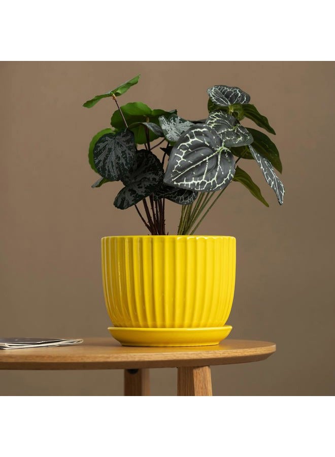 Ton Sin Ceramic Flower Pots,Yellow Plant Pots for Indoor Plants,4.1+5.1+6.5 inch Ceramic Plant Pots with Tray,Medium Indoor Planters for Aloe Cactus Decorative Pots with Drainage Hole (Set of 3) - Image 2