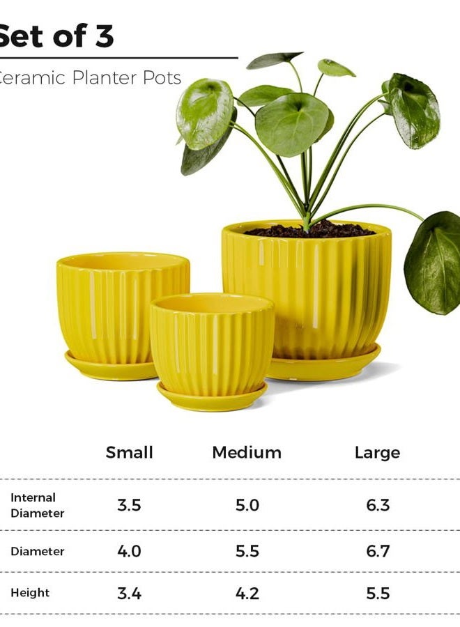 Ton Sin Ceramic Flower Pots,Yellow Plant Pots for Indoor Plants,4.1+5.1+6.5 inch Ceramic Plant Pots with Tray,Medium Indoor Planters for Aloe Cactus Decorative Pots with Drainage Hole (Set of 3) - Image 3