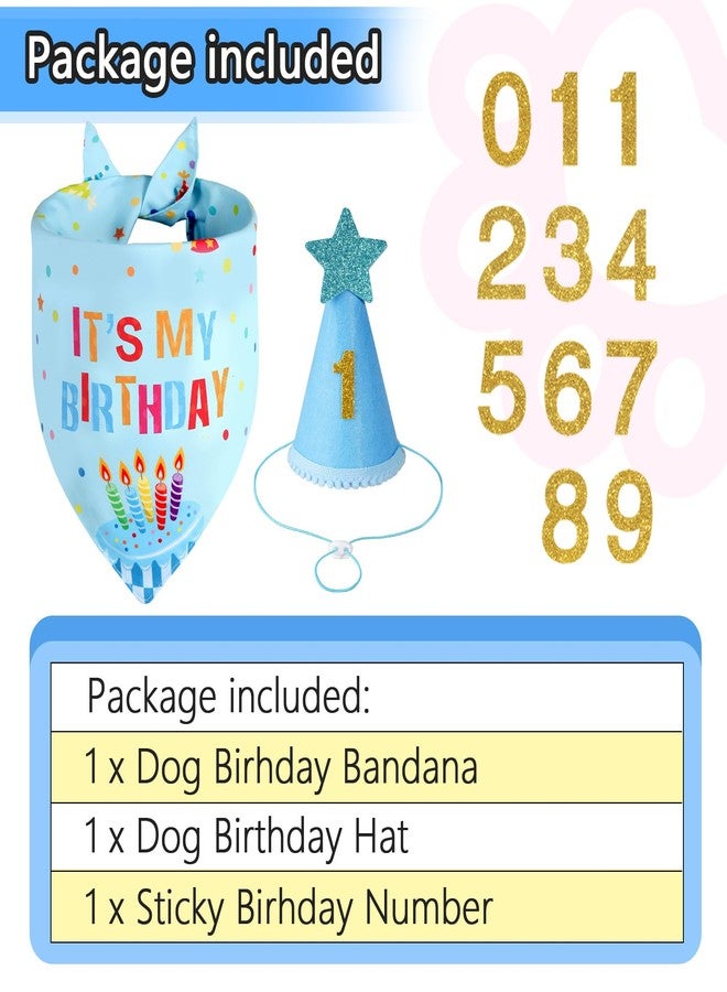 Agroon Dog Birthday Party Supplies with Hat Bandana Numbers, Light Blue Dog Birthday Set for Small Pets Puppy Boy - Image 3