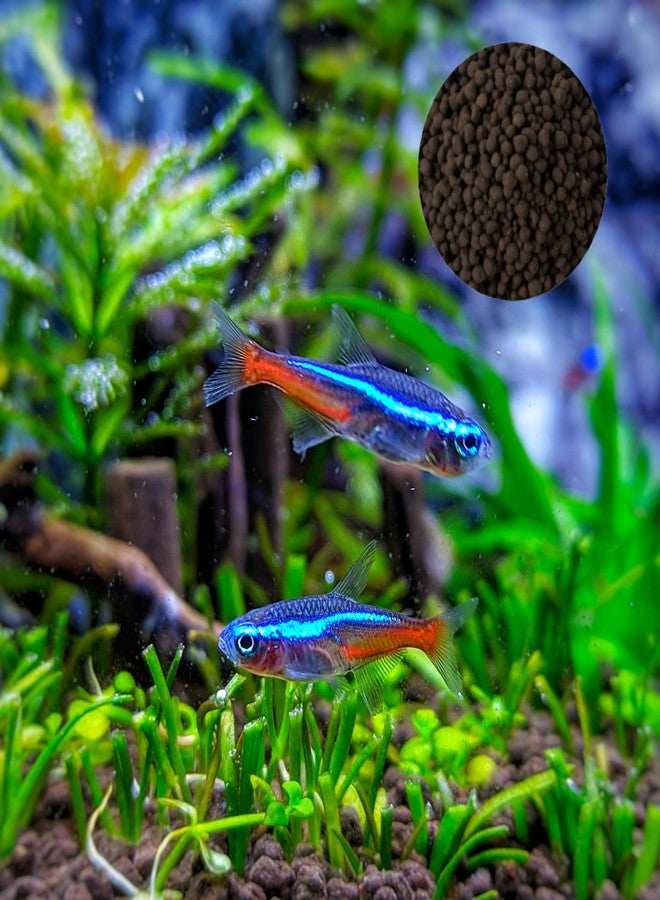 Auqa Soil 500gm for Plants | Auqarium Substrate | for Fish Tank and Water Plants Soil Substrate (500GM) - Image 2