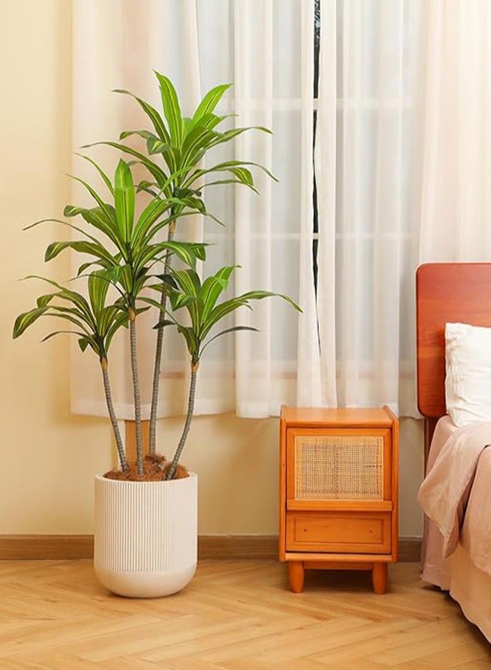 dida-cosmos Artificial Dracaena Tree with natural trunk and realistic leaves 160cm. (63 inches) for home decoration indoor office decoration housewarming gift  - Image 5