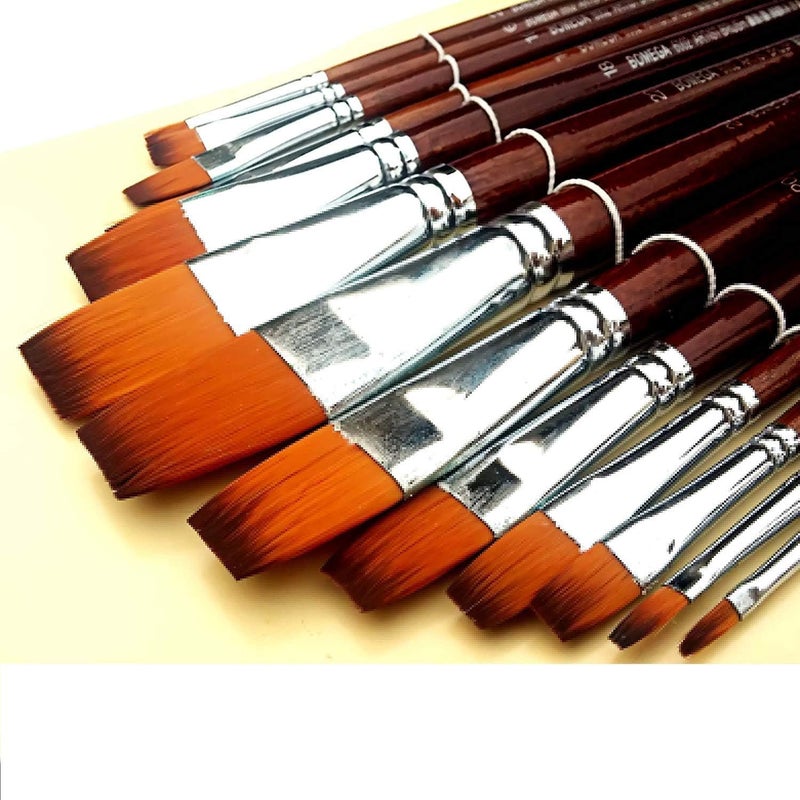 QALAM Kaari 13 Pc Flat Artist Quality Long Handle Painting Brush for Acrylic, Watercolor & Gouche Painting,Premium Nylon Hair Art Paint Brush for Beginners and Professionals  - Image 1