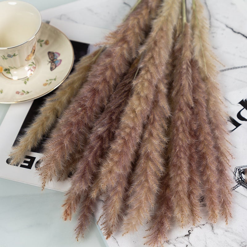 Yunnan Dried Flower Dried Flower Bouquet Reed Grass Pampas Small Dust Dried Flower Small Reed - Image 5