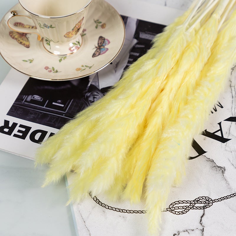 Yunnan Dried Flower Dried Flower Bouquet Reed Grass Pampas Small Dust Dried Flower Small Reed - Image 1