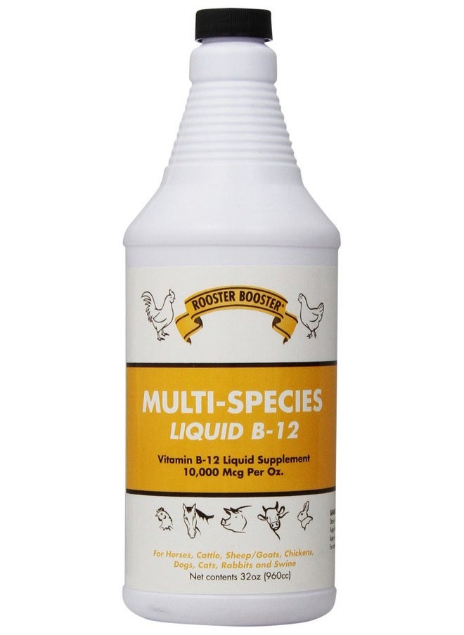 Rooster Booster B12 Liquid 32Ounce  - Image 2