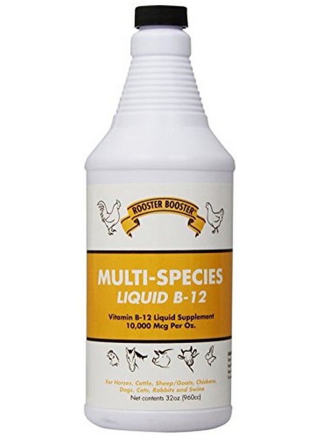 Rooster Booster B12 Liquid 32Ounce  - Image 1