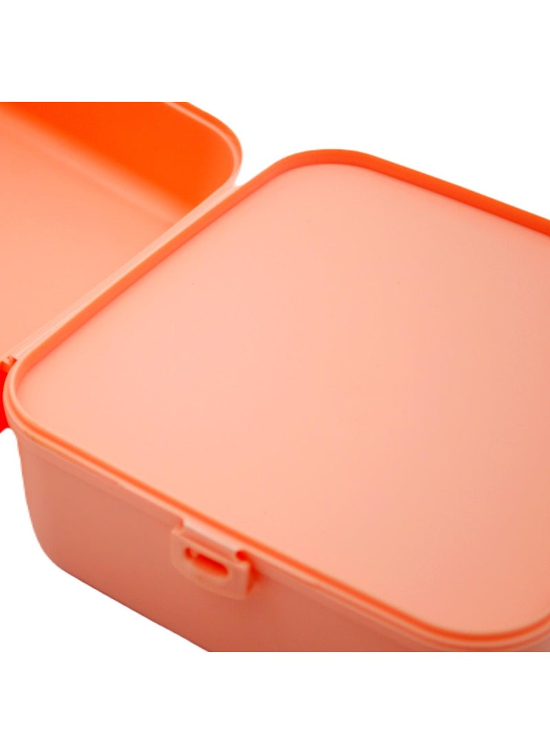 Gıpta Blue Me Plastic Nutrition Container with Compartments 1 Lt  - Image 5