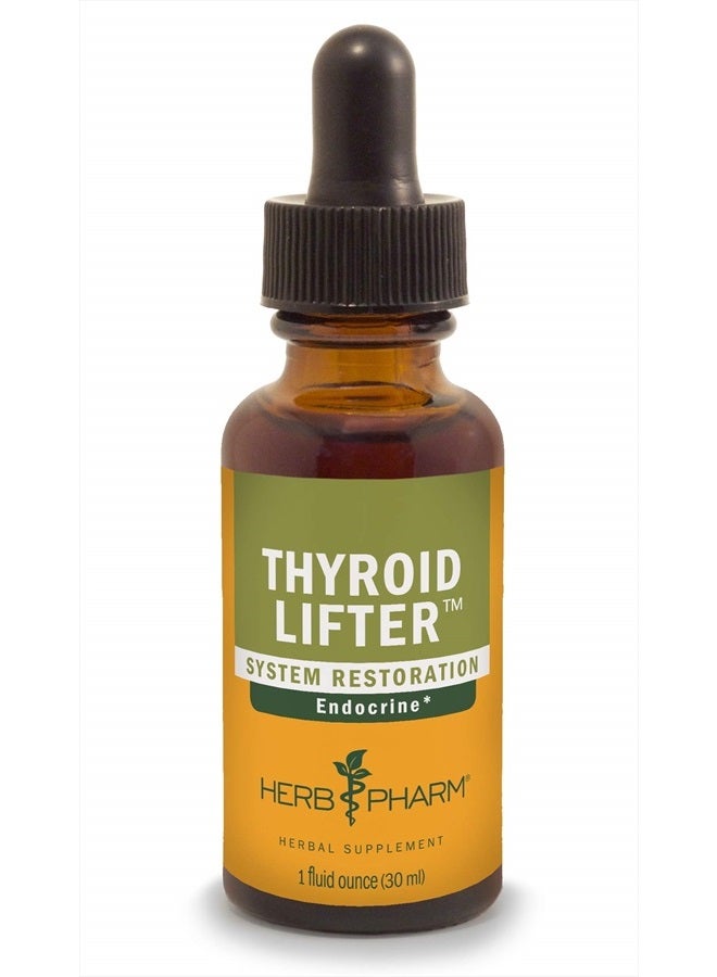 HERB PHARM Thyroid Lifter Liquid Herbal Formula for Endocrine System Support - 1 Ounce - Image 1