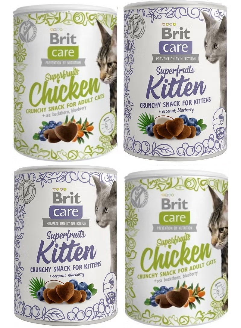 بريت كير - وجبات خفيفة مقرمشة للقطط بنكهة الفواكه الفائقة، واحدة للقطط البالغة وأخرى للقطط الصغيرة - 100 جرام بريت كير - عبوة من 4 قطع - Image 1