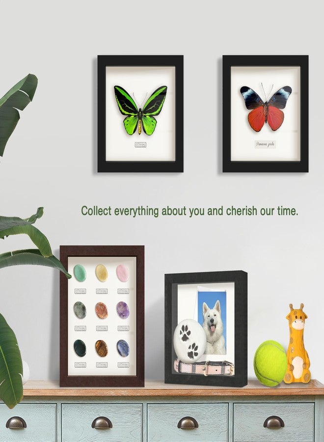 FrameWorks إطار خشبي أبيض من FrameWorks مقاس 8.5 بوصة × 11 بوصة - علبة عرض بظهر من اللباد الناعم، صندوق ذكريات بزجاج مقوى، صندوق عرض بدبابيس تثبيت كروية بيضاء أنيقة، صندوق زهور خشبي - Image 5