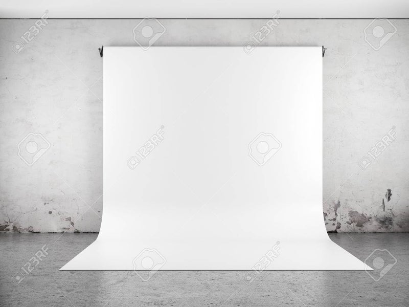6.5 x 10ft (3m x 6m) White Screen Backdrop Background, Portable Polyester Non Woven Fabric Photography for Zoom/Gaming/YouTube Video/Photo Studio/Live Stream/Party Decorations(Stand NOT Included)...