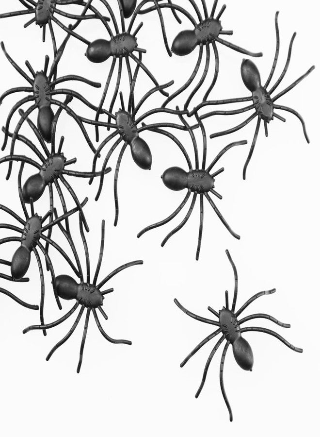 SaktopDeco 24 PCS Black Plastic Spiders Small Scary Realistic Spiders Fake Spider for Bug Party Decorations Insects Prank Joke Props - Image 2